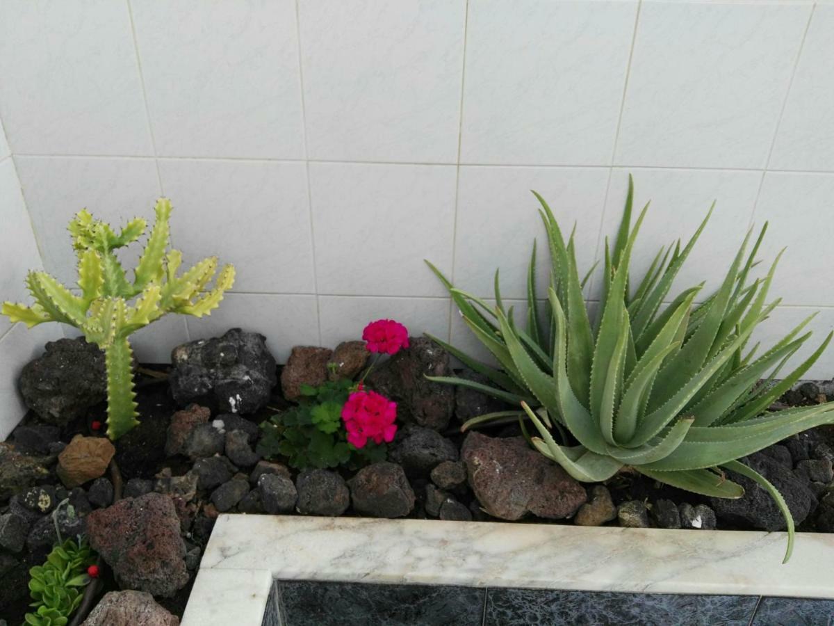 tenerife pearl Apartment Playa de las Americas  Exterior foto
