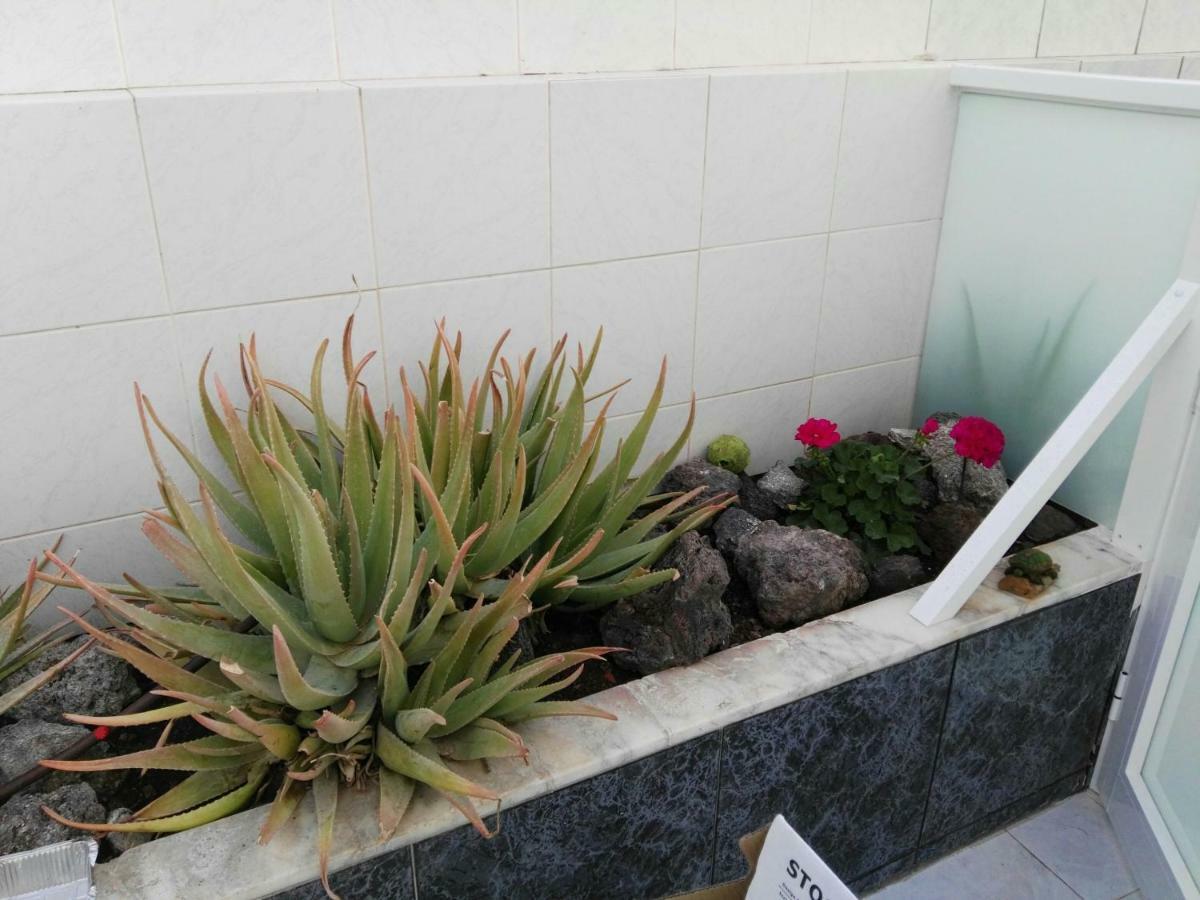 tenerife pearl Apartment Playa de las Americas  Exterior foto